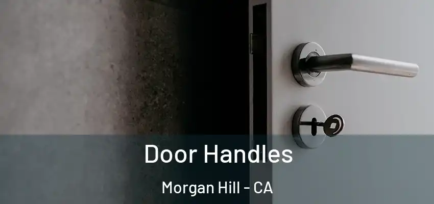  Door Handles Morgan Hill - CA